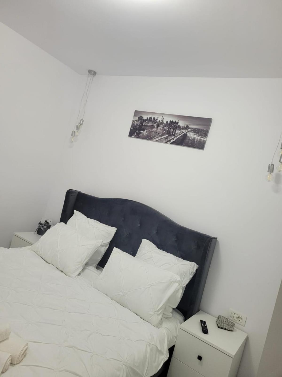Tag Apartament Temeşvar Dış mekan fotoğraf